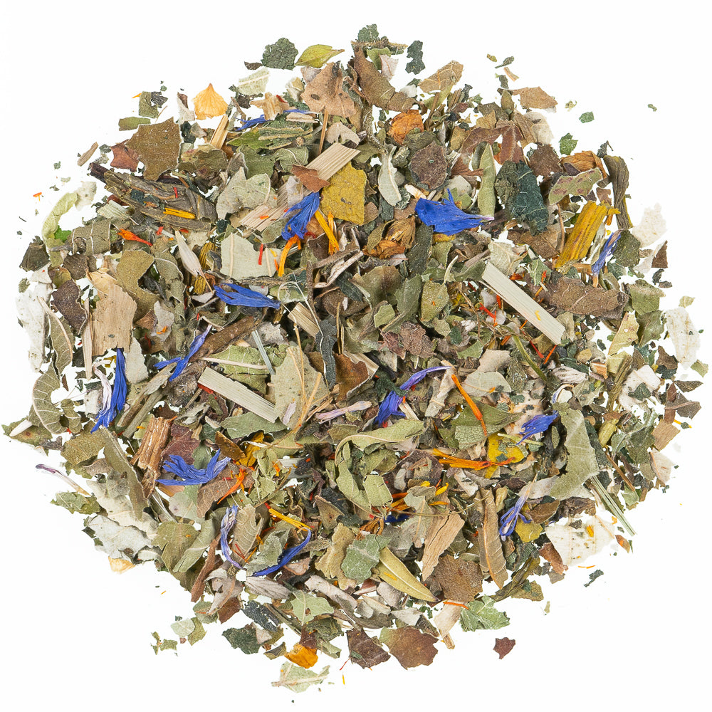 Fountain of Youth Tea / Composting Pyramid - 100 pieces