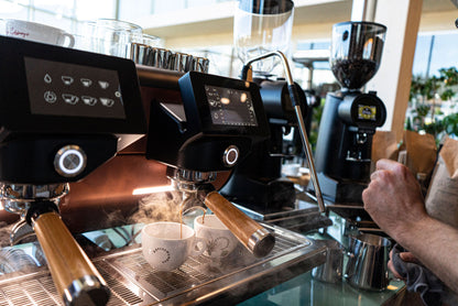 Kaffeewunder Kaffee Nr.01 (100% BIO & Fairtrade Arabica Bohnen / French Roast / 1kg)